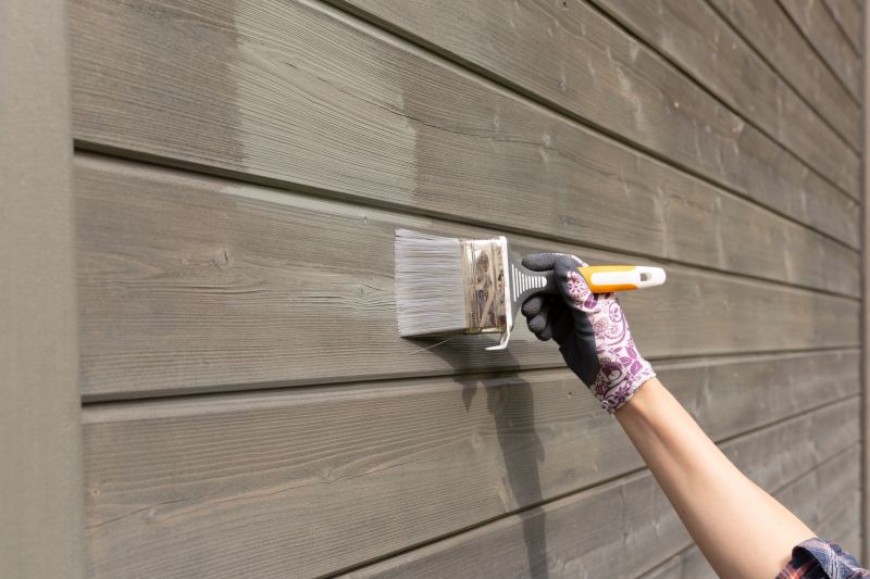 Siding Painting
